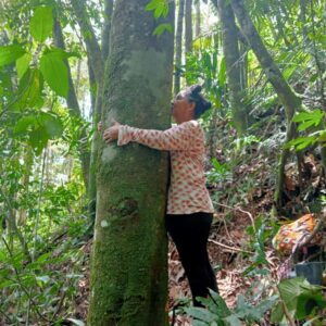 Adopta un árbol y crea futuro para todos (1 año) U$9  -  €9